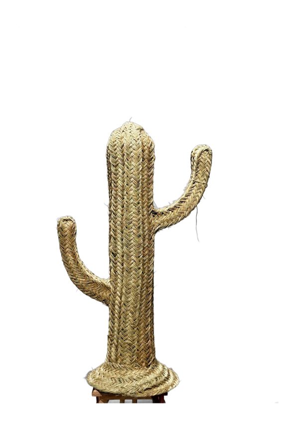 Cactus Zeegras